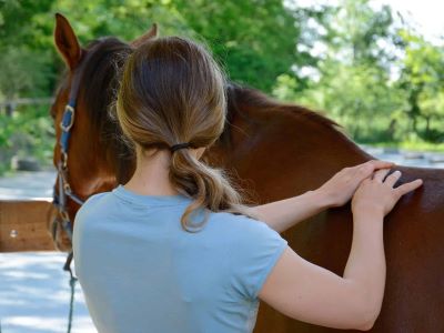 So-Ne  3.-4. srpen – Masáž a vztah s koněm