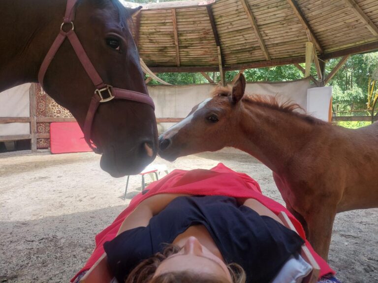 3. ŽIVOTNÍ – ŽENSKÁ SÍLA