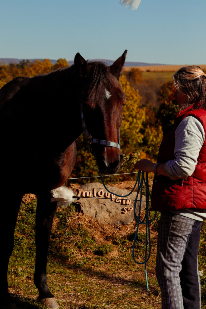 Přírodní terapie na Centrum Corazon, relaxace a wellness služeb pro zdraví a harmonii.