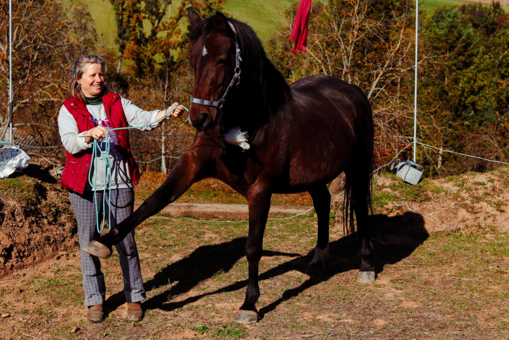 Kráčí pod koněm, malá dívka v přírodě, jízda na koni, jízda na koni v přírodě, zábava s koňmi, podzimní krajina, centrum Corazon, relaxace a sport.